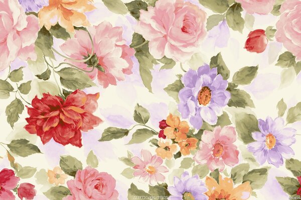 Variegated flowers on a light background