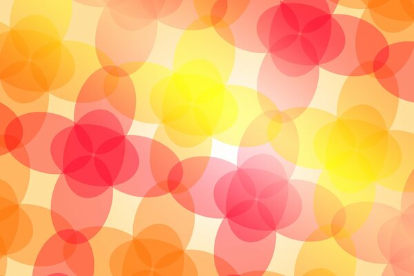 Fiori luminosi, colori vivaci