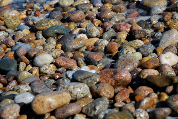 Piedras ligeramente humedecidas con agua