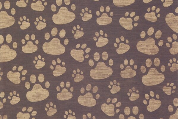 Empreintes de pattes mignonnes pour les amoureux des animaux