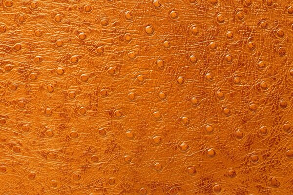 Orange skin with pimples