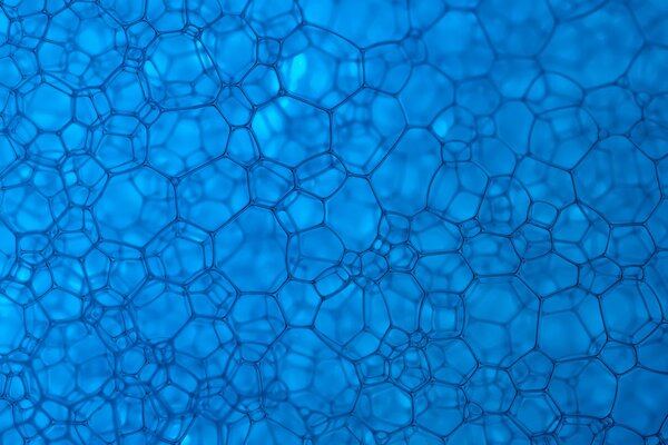 Celle di trama su sfondo blu