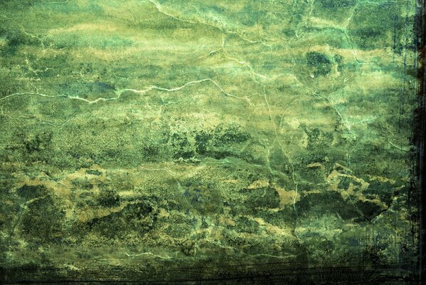 Wall with swamp green texture