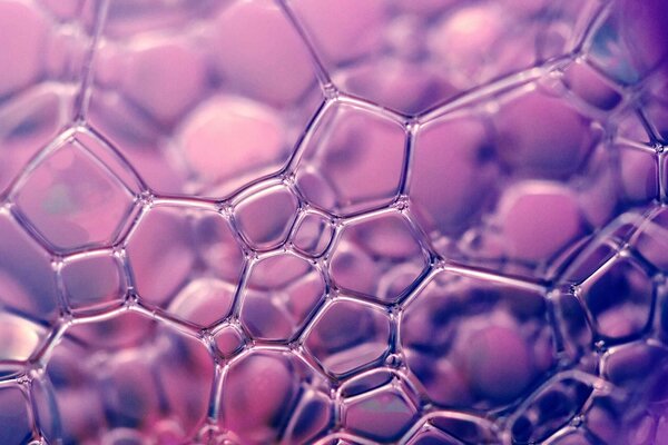 Bolle di sapone su sfondo viola