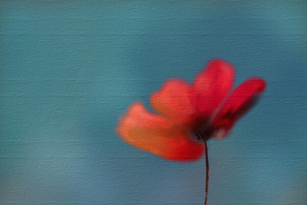 Flor brillante sobre fondo de textura áspera