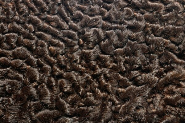 Texture de fourrure animale brune