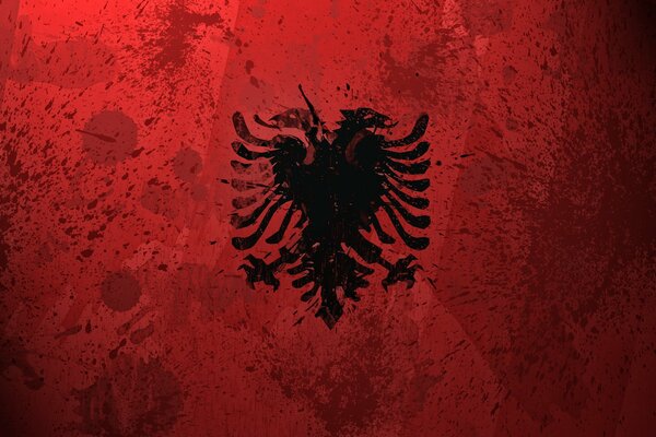 Bandiera Dell Albania su sfondo rosso