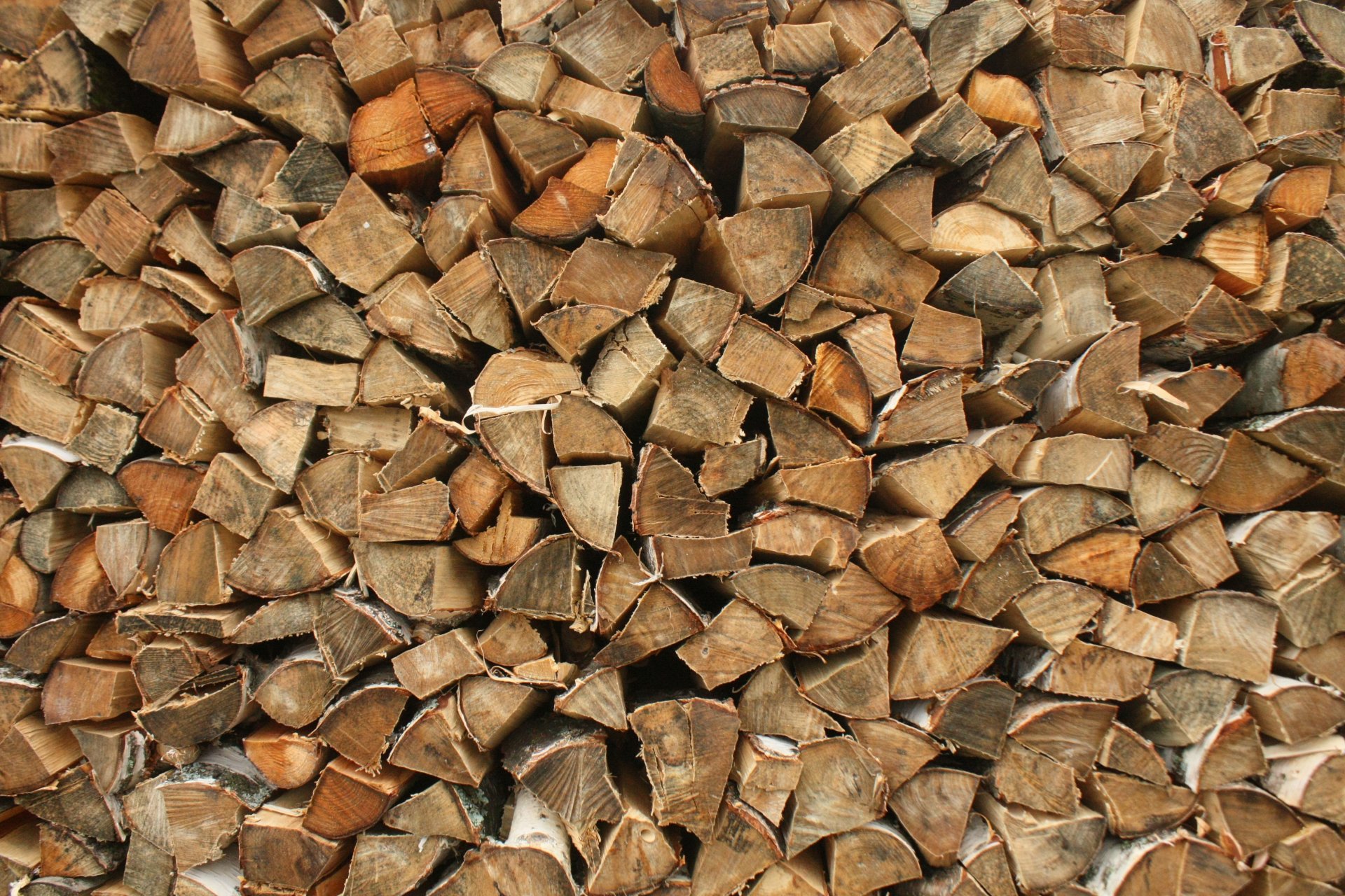 firewood tree