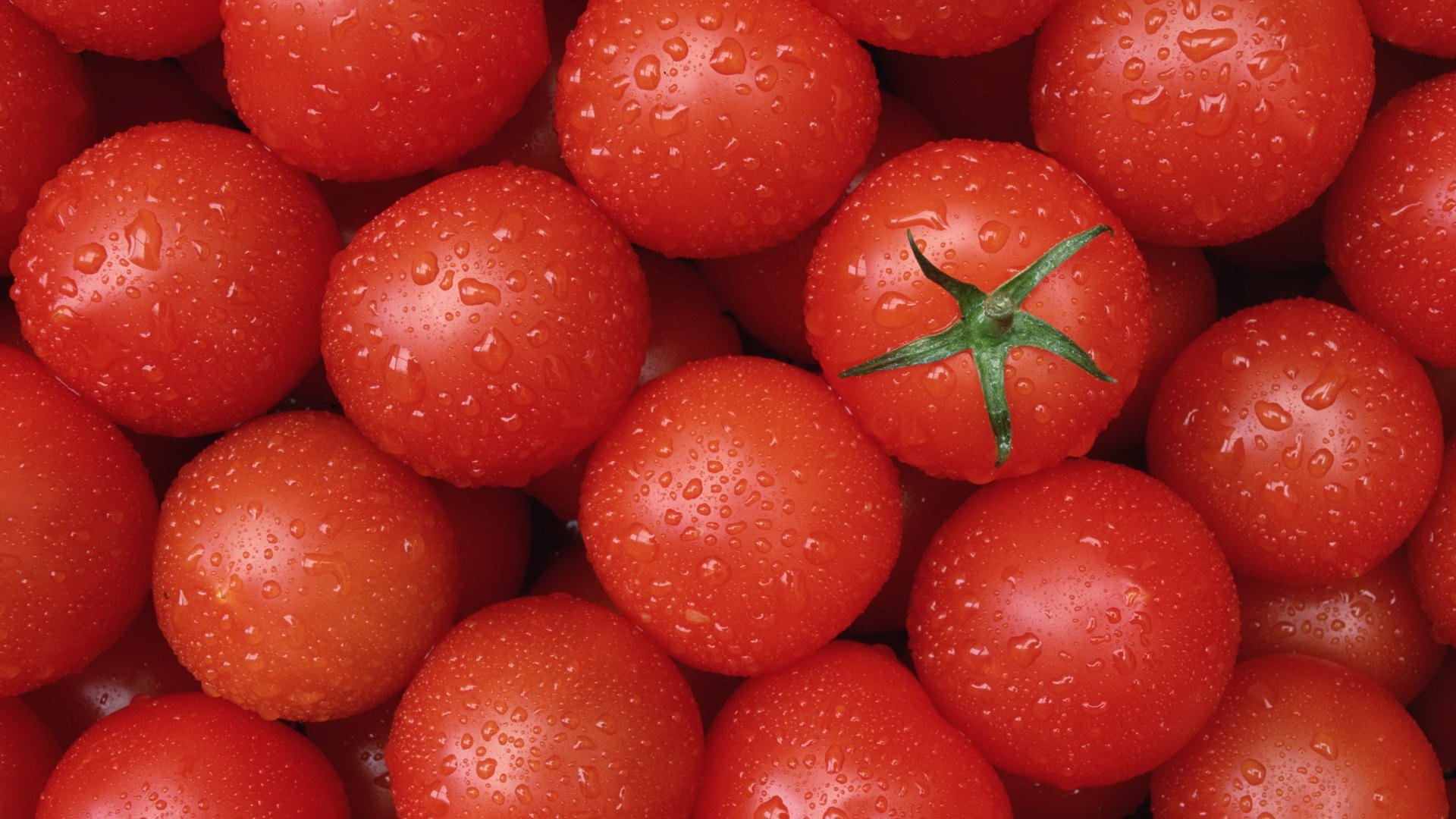 essen tomaten tomaten rot sauber lecker