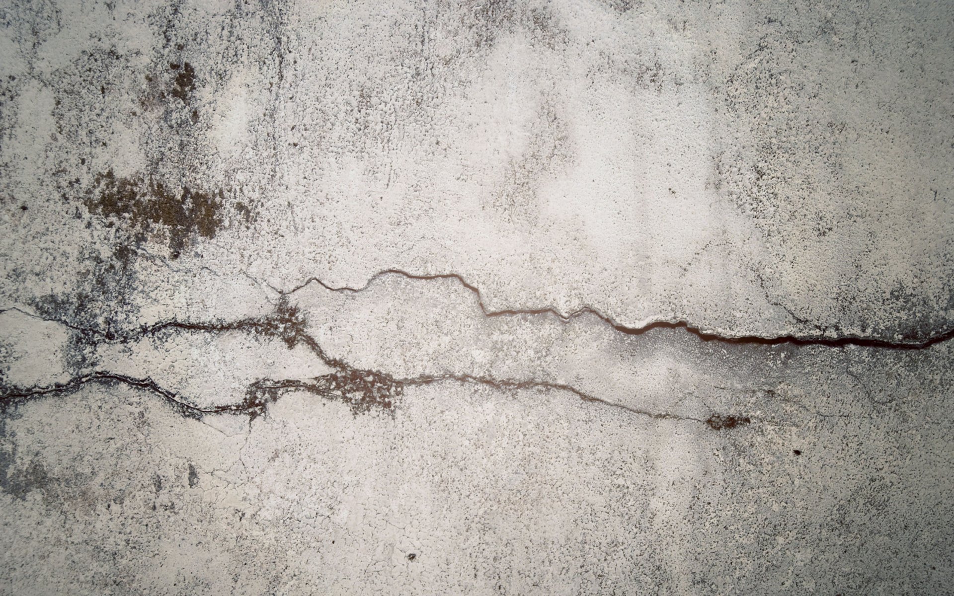 béton mur fissure mousse fissure dans le temps fancq