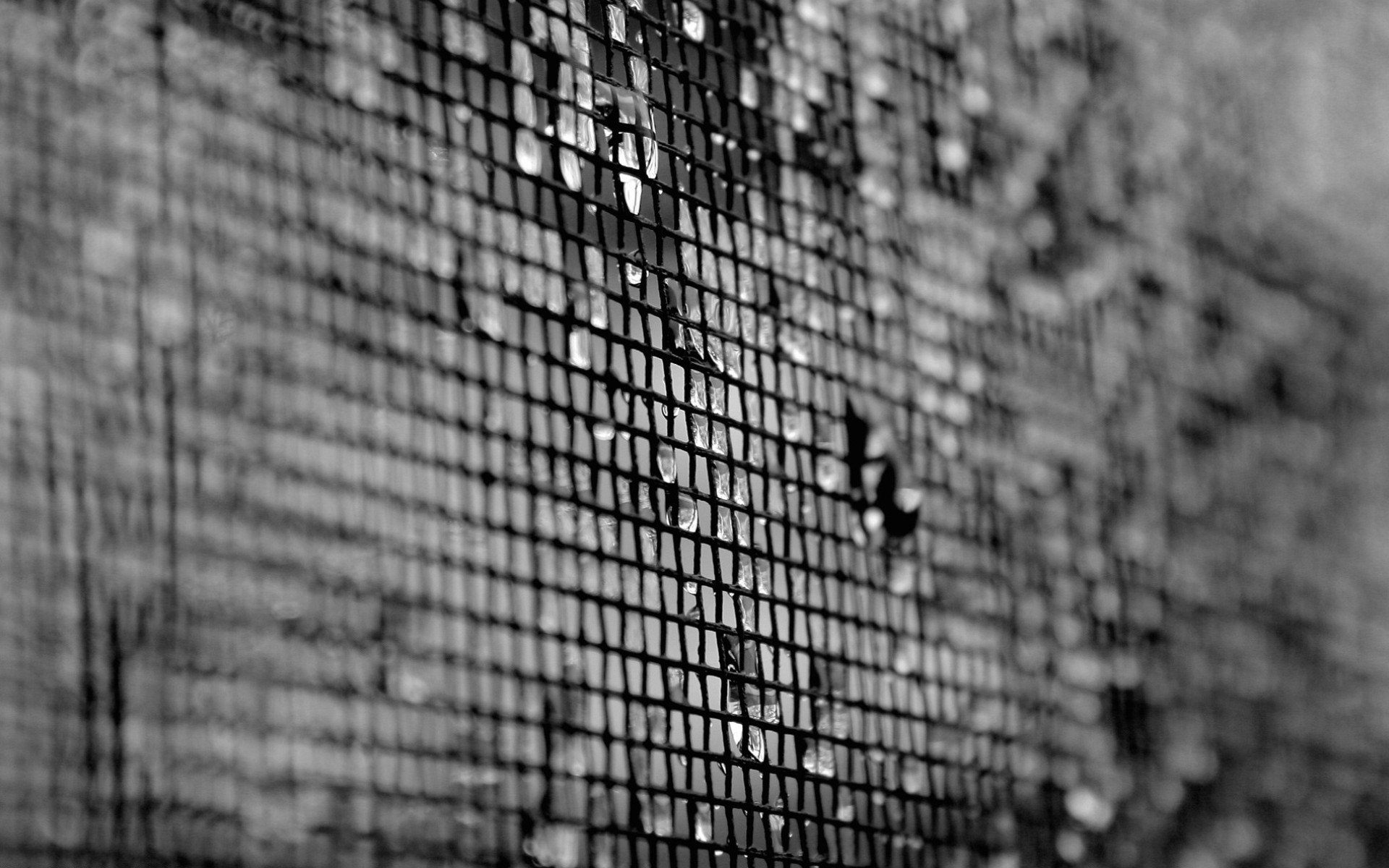 textures texture net drops black and white blur black white 1920x1200