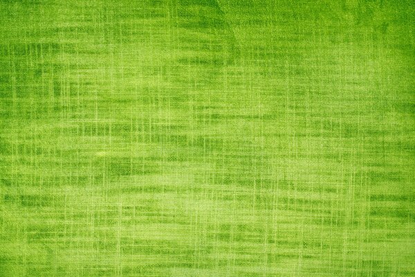 Texture in green-light green tones