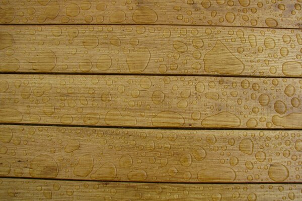 Raindrops on wooden boards