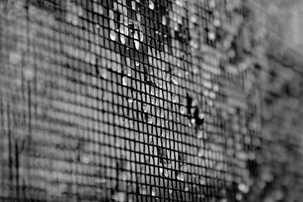 Texture mesh drops black and white