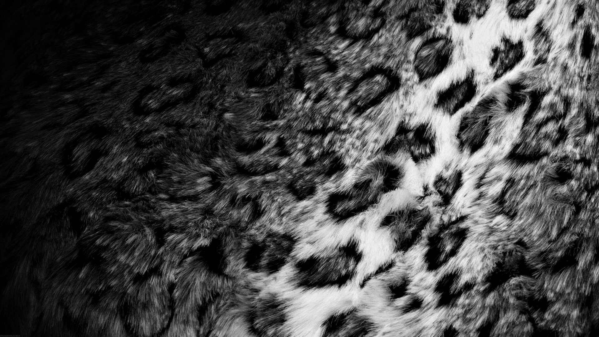 hide fur leopard black and white