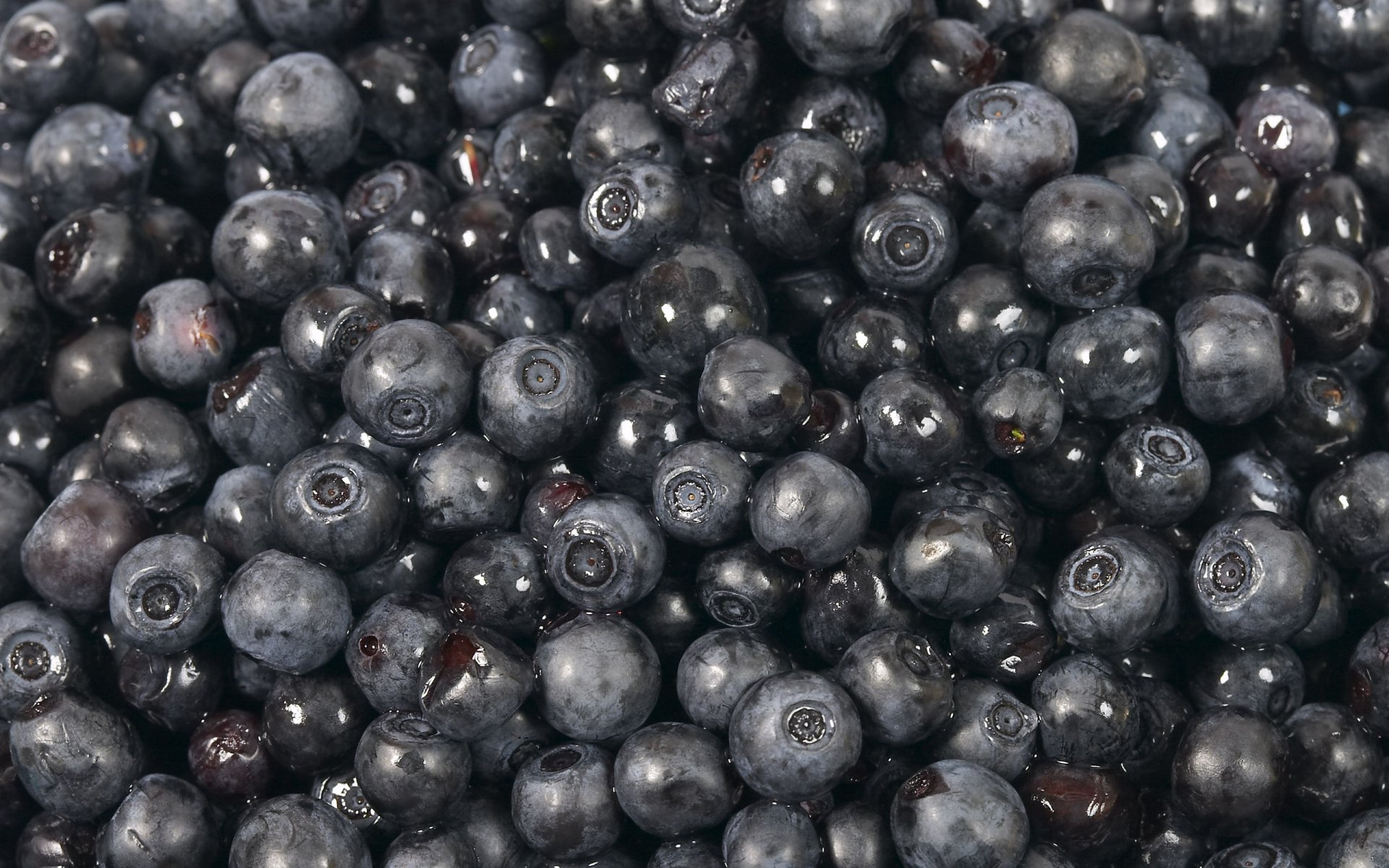 blueberries sweet