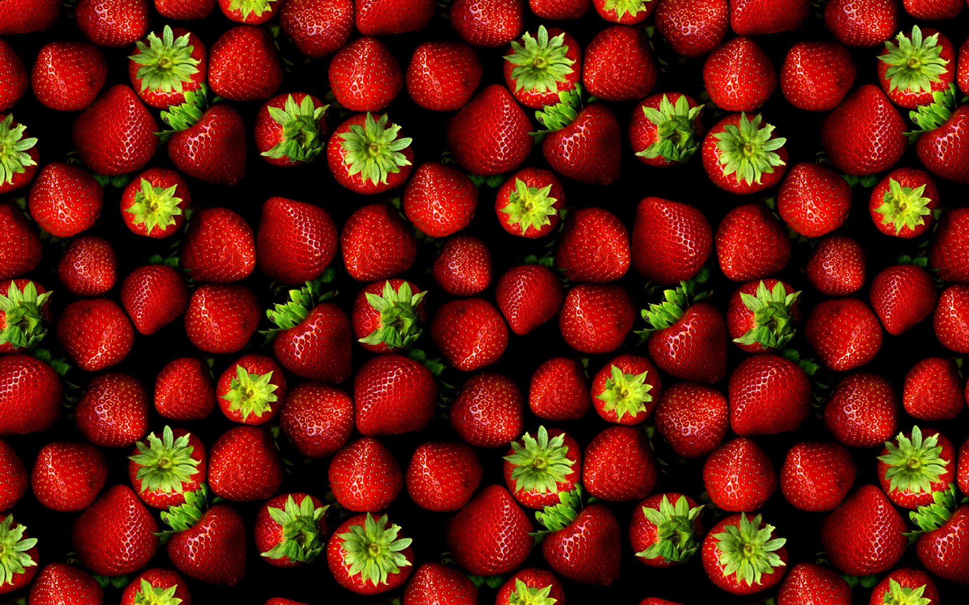 fraises baies été