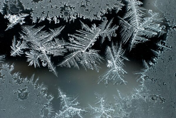 Macro de givre sur verre givré