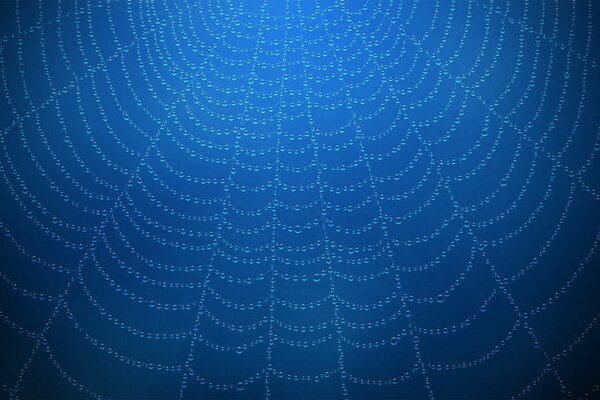 A web of drops on a blue background