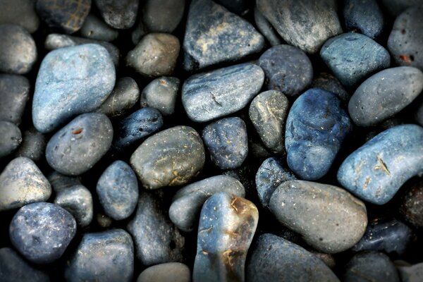 Pierres de mer sur le bureau