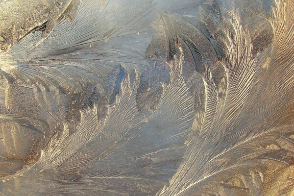 Invierno frío. Patrones de hielo en el vidrio