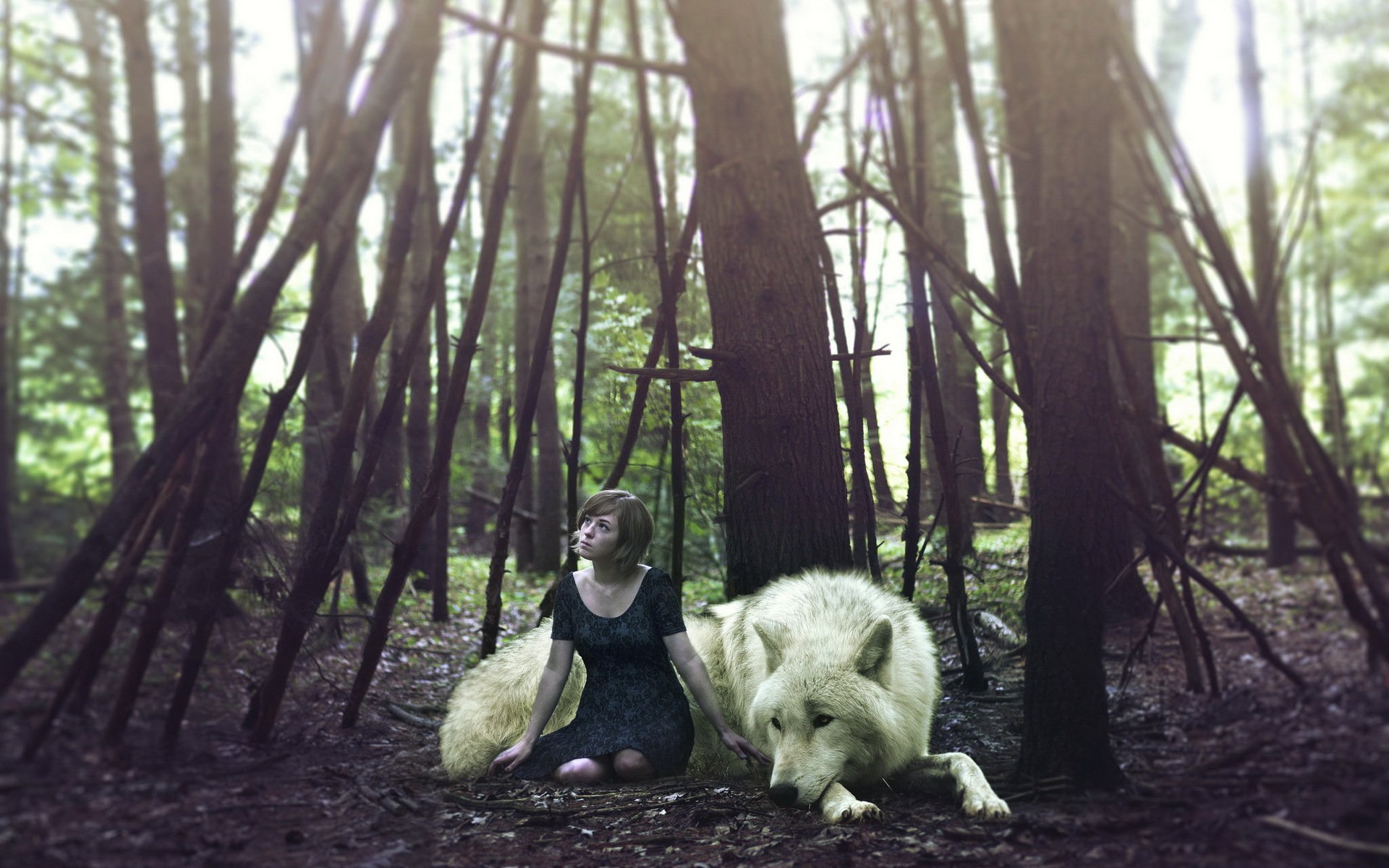 girl wolf forest