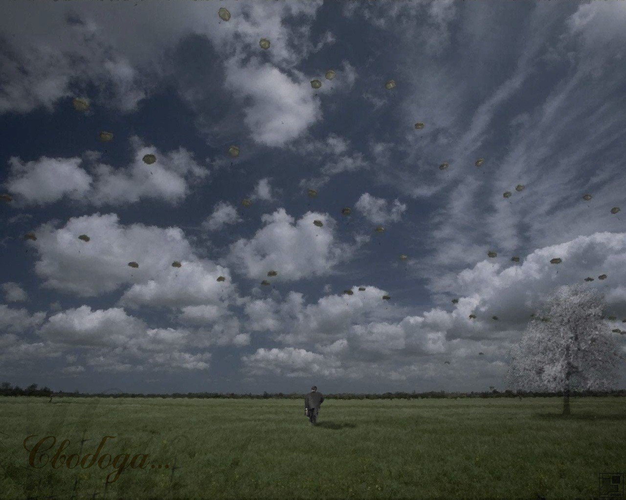 adness loneliness emptiness rain steppe flight freedom inscription