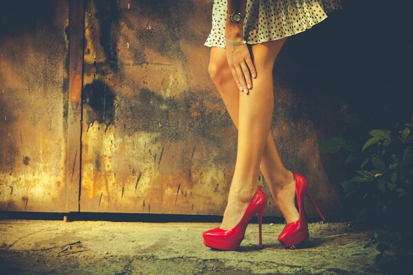 Gambe lunghe e belle. Scarpe alla moda