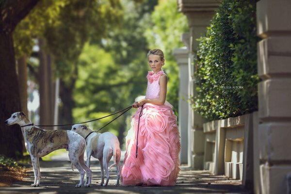 A girl in a pink dress walks with dogs