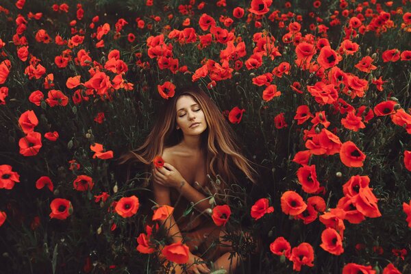 Chica en el fondo de un campo de amapola