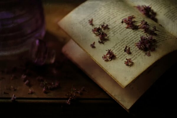 The book with dried flowers is an old volume