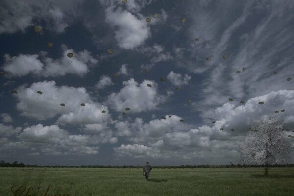 Soy libre como un pájaro en las nubes