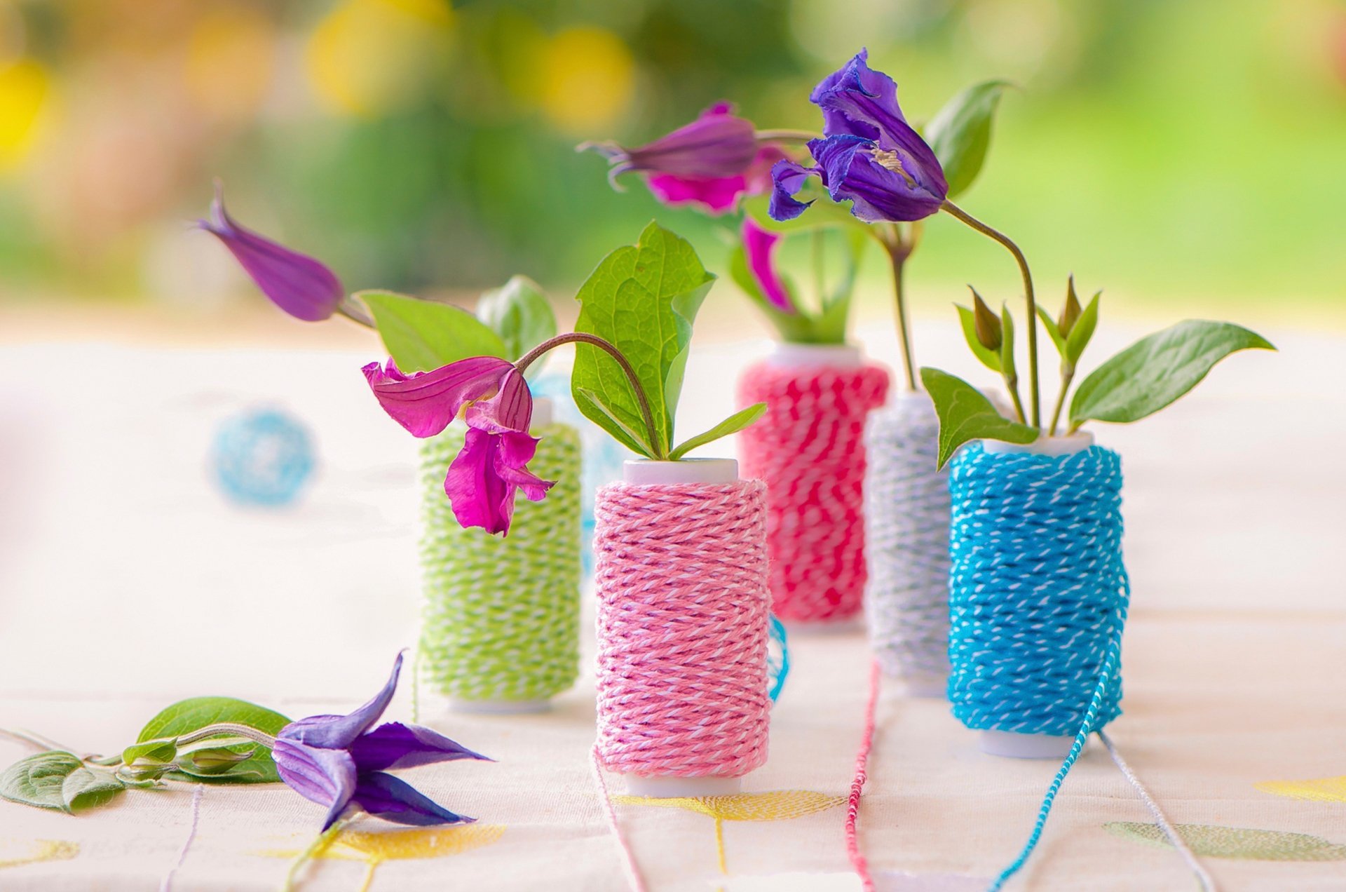 sinfonien frühling faden farbe blumen