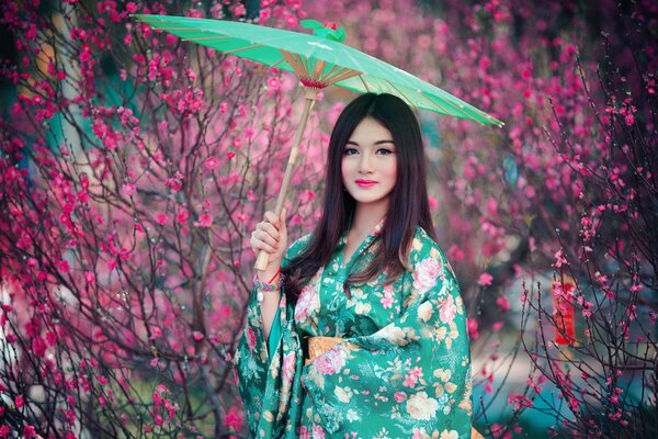 Asian girl on the background of sakura with a green umbrella