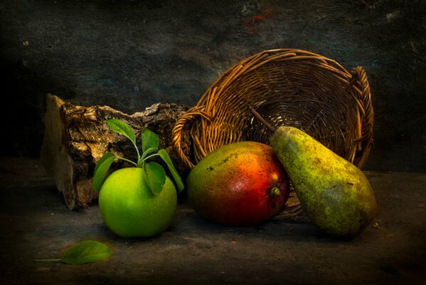 Still life with a log and fruit