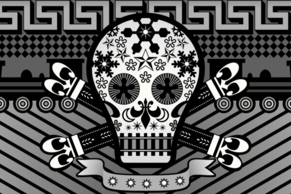 Graphic black and white image of the skull