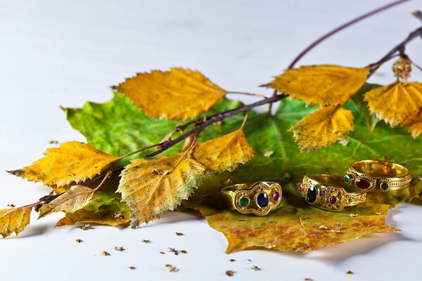 Dekoration auf Herbstlaub Hintergrund