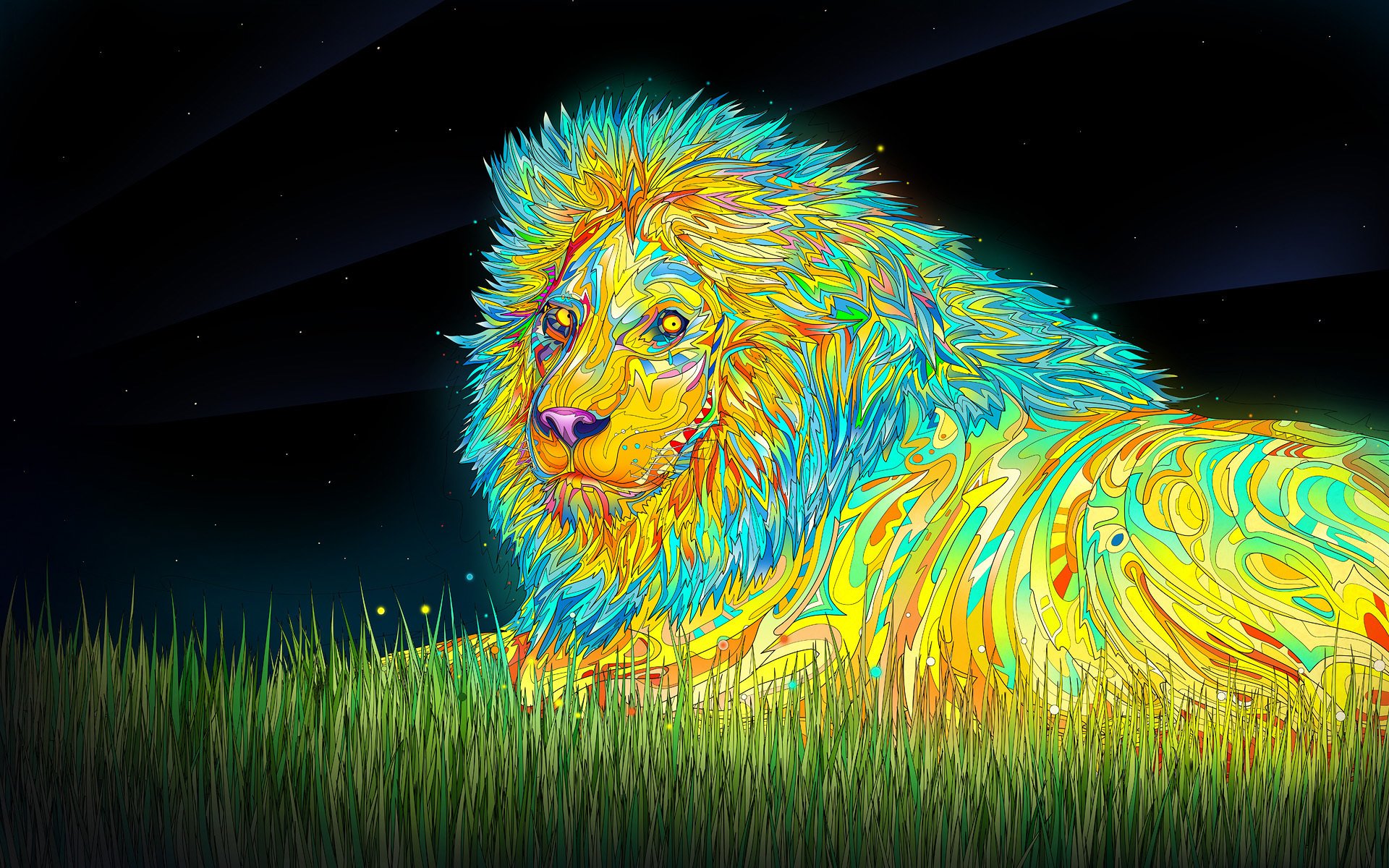 lion crinière ciel herbe étoiles couleur