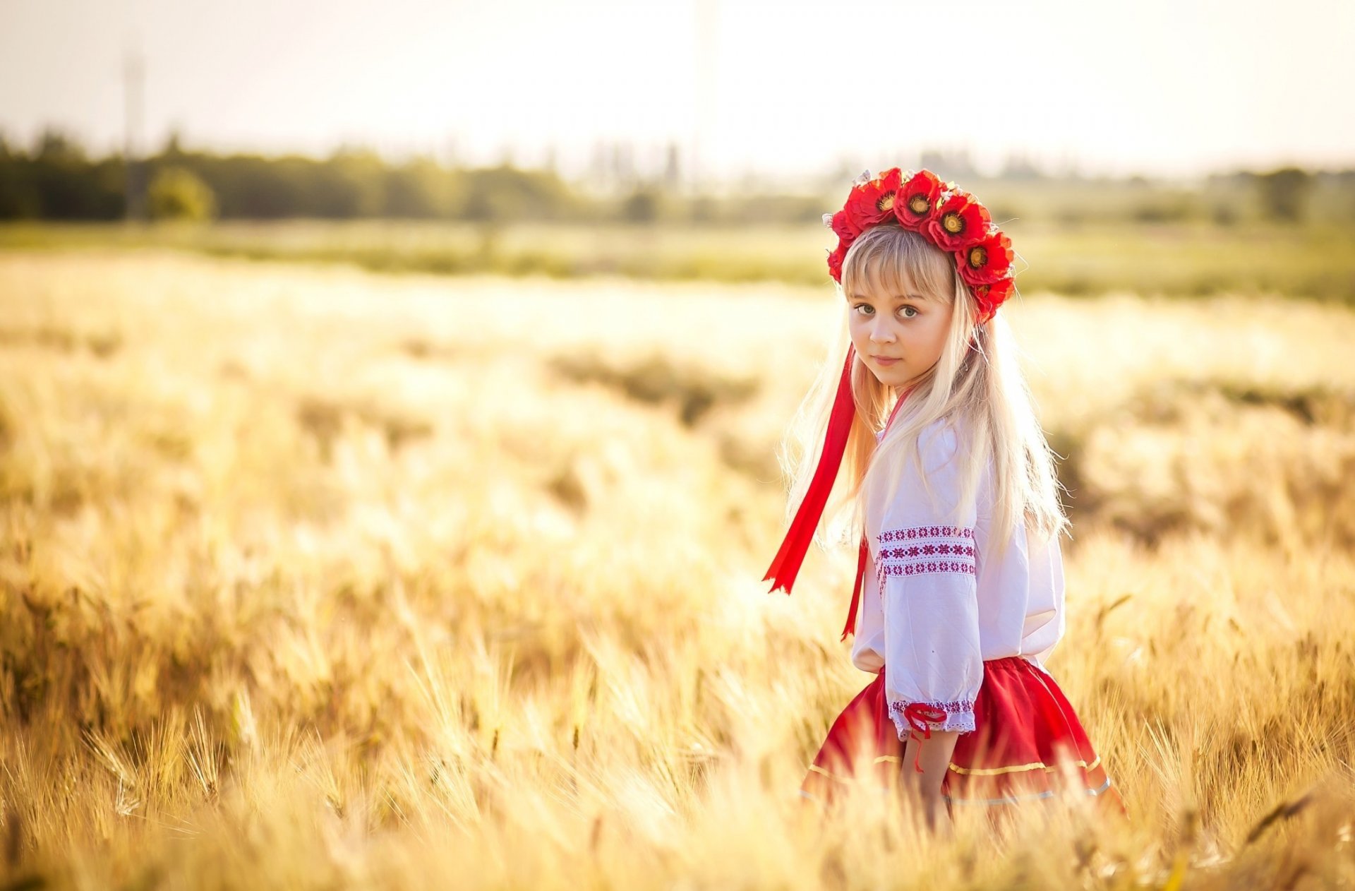 ukraine ukrainka girl the field wheat wreath