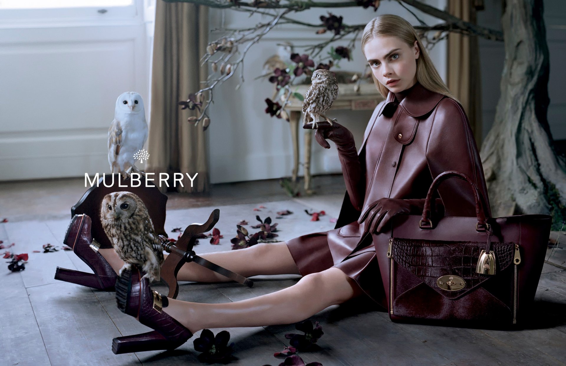 delevingne mulberry marca cuoio borsa gufi