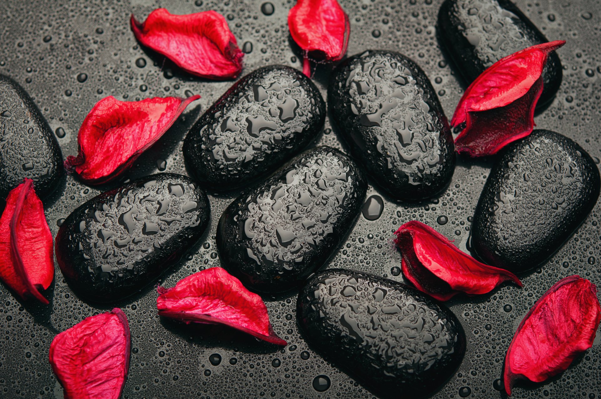 black red stones petals red black drops rose petal