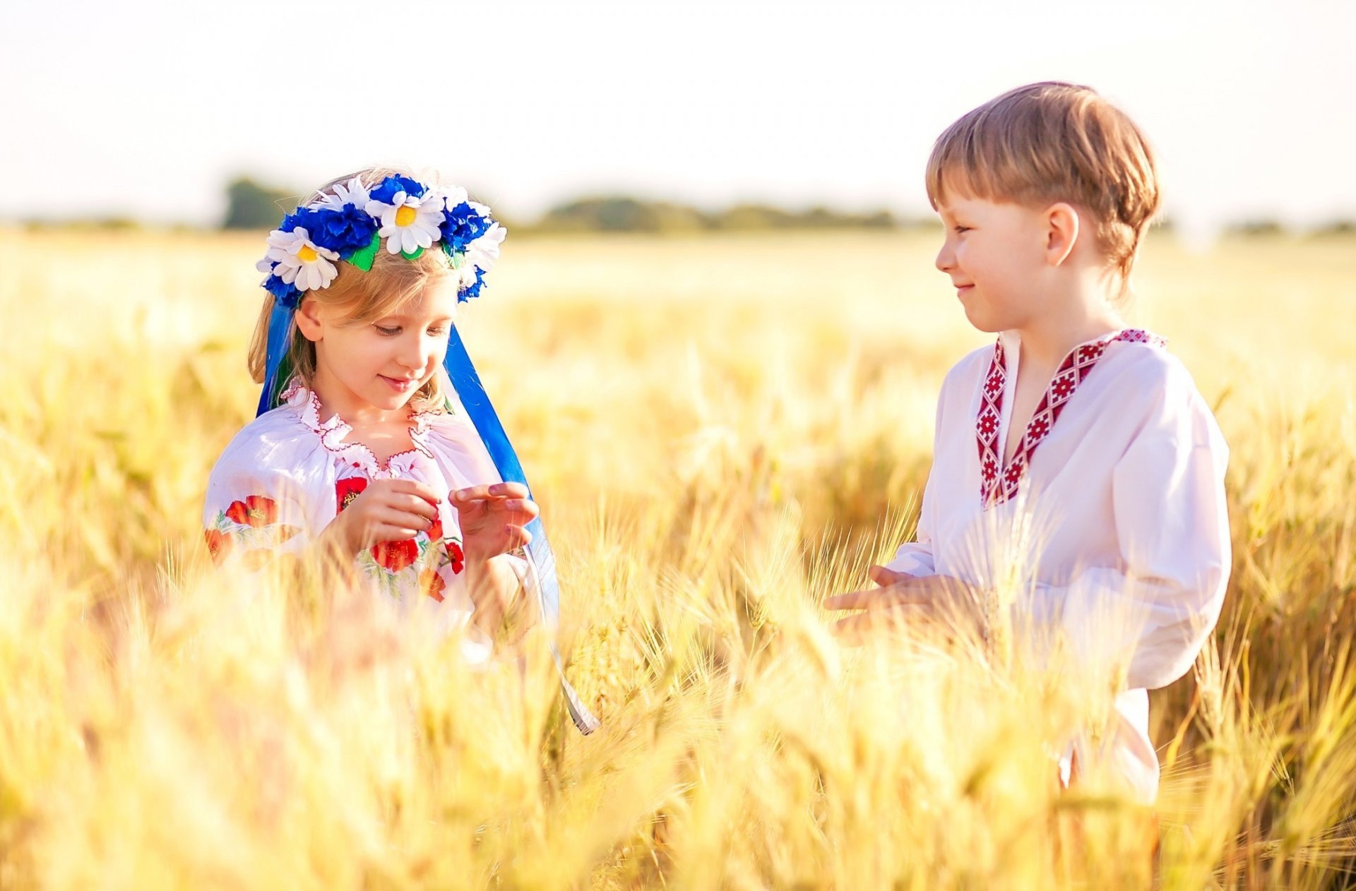 ukraine ukrainiens enfants garçon fille champ blé couronne marguerites