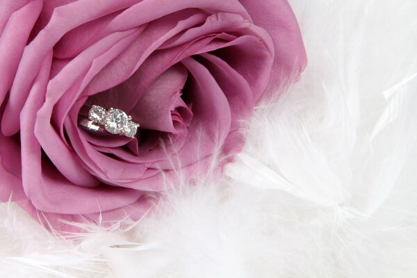 Pink rose and a ring with a stone