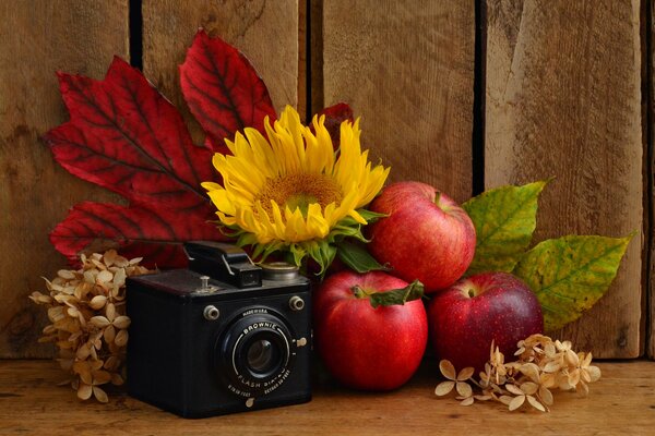 Autumn still life with a camera and apples