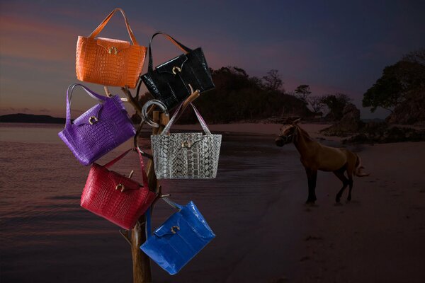 Collection of bags by the sea with a horse