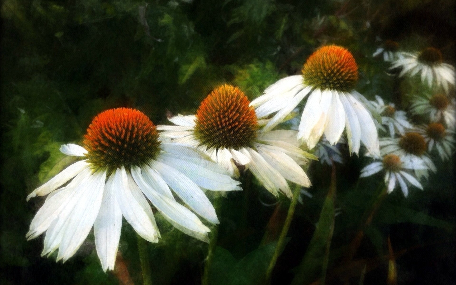 fleurs été nature style