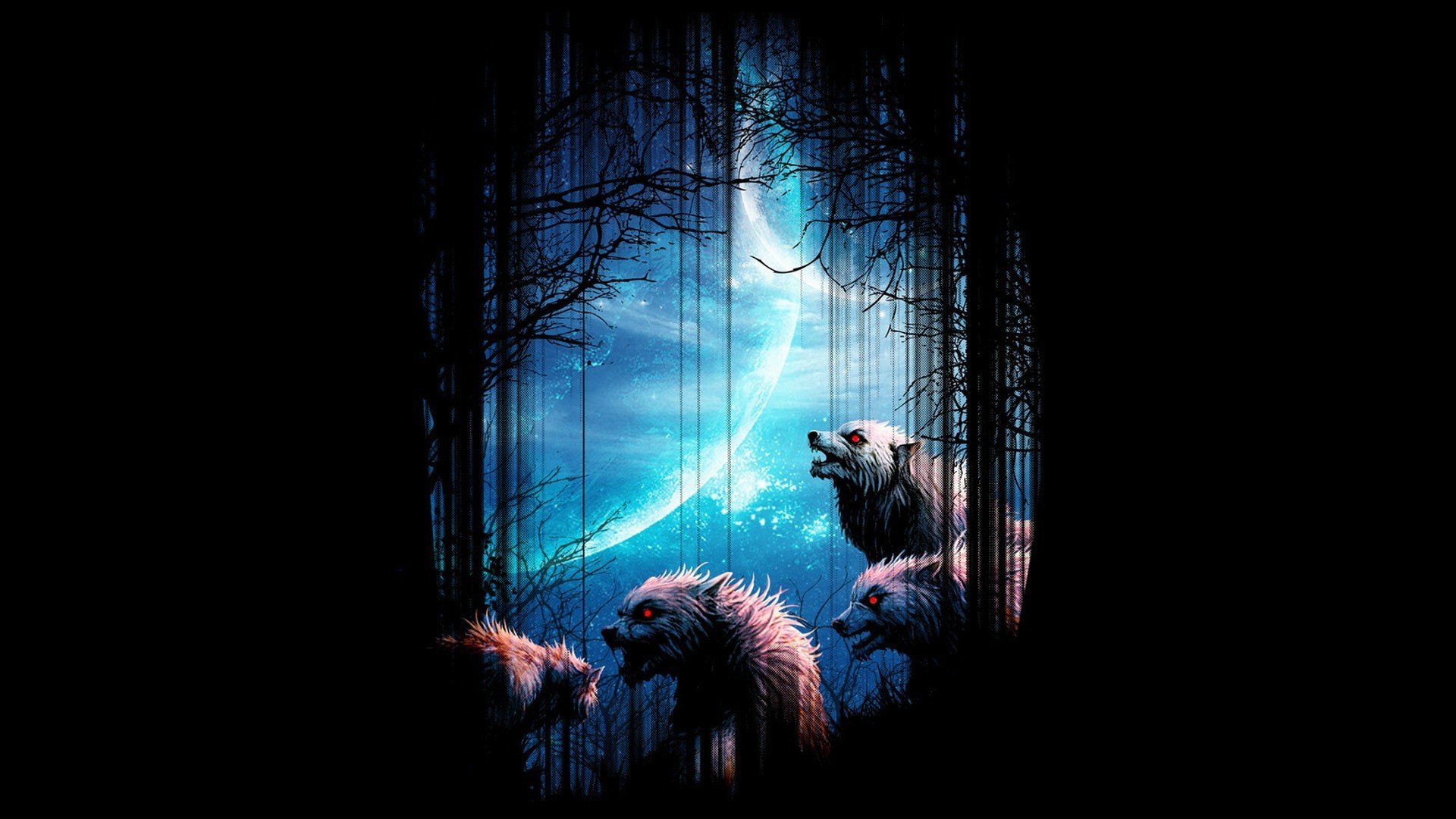 wolves night forest moon background