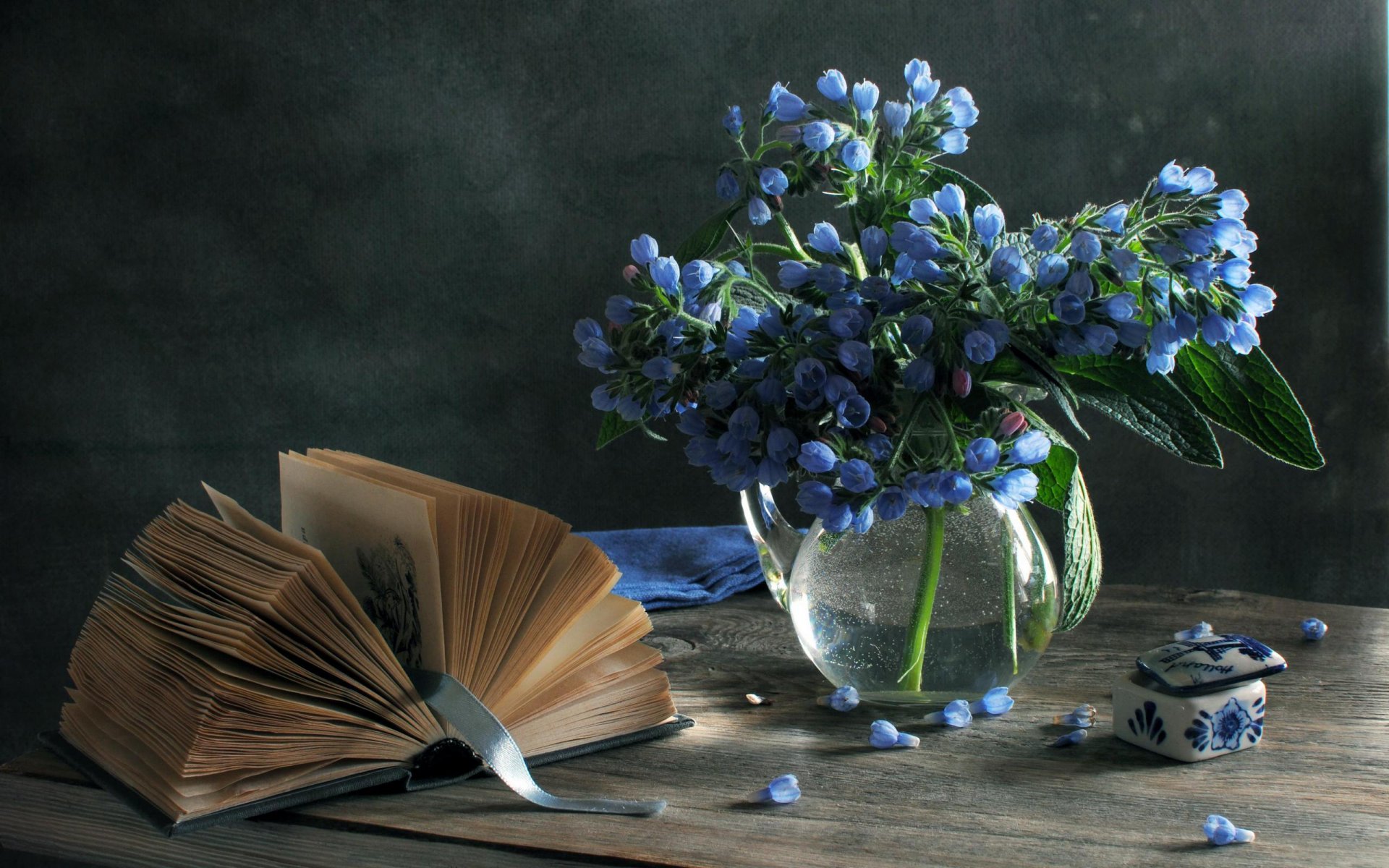 naturaleza muerta florero flores azul primavera libro ataúd