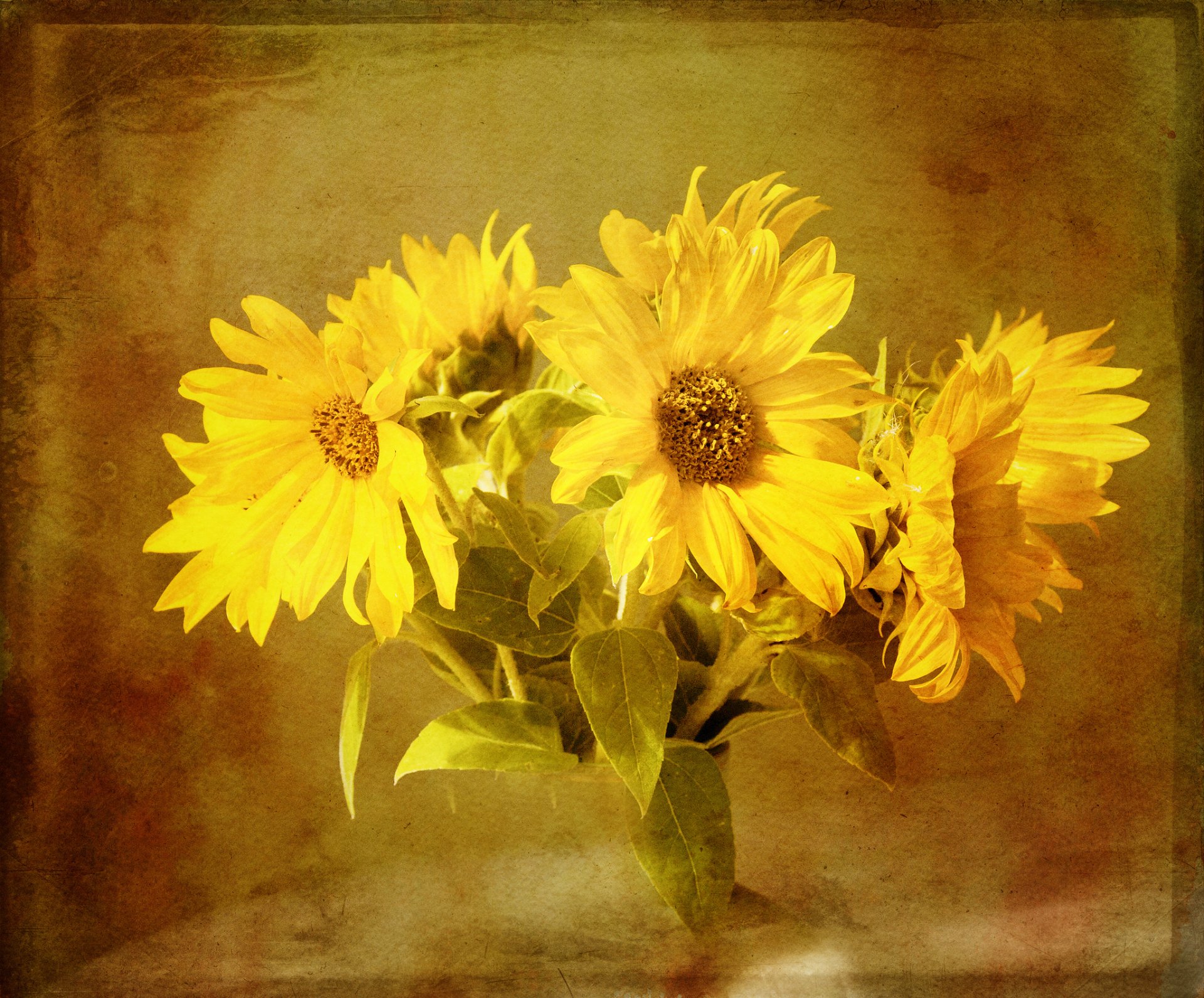 unflowers fine bouquet background