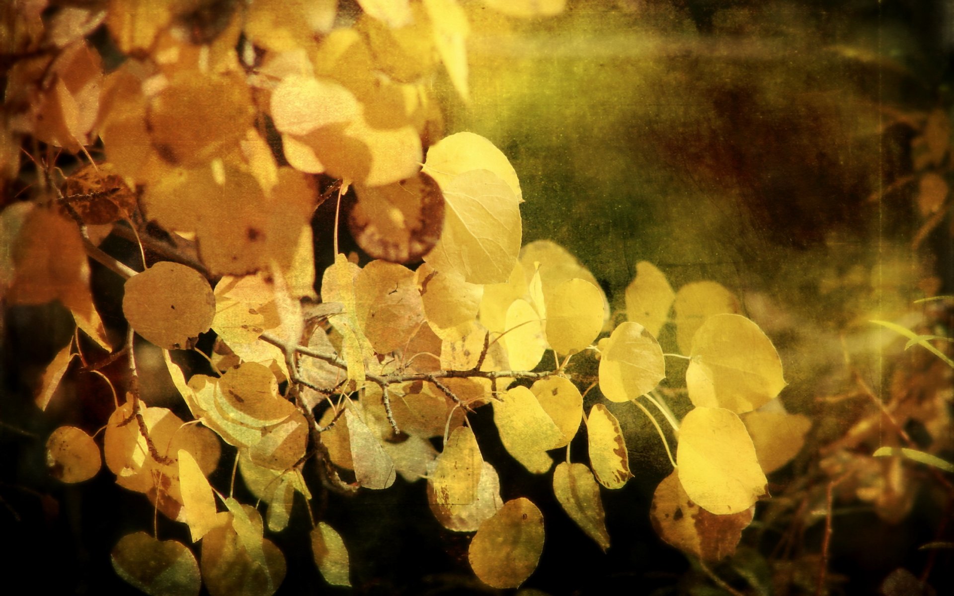 blätter herbst hintergrund stil